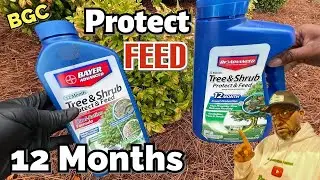 How to use BioAdvanced Tree & Shrub Protect and Feed // how to protect Landscape from bugs