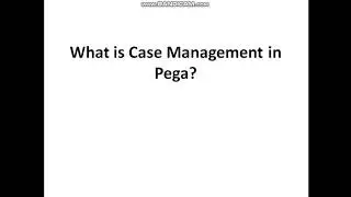 Case Management in Pega