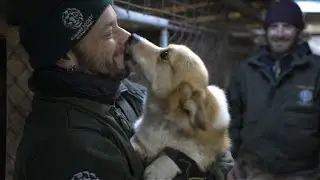 Hundreds of dogs destined for slaughterhouse rescued in S.Korea