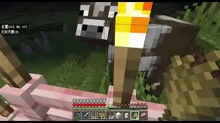 Minecraft500日生活