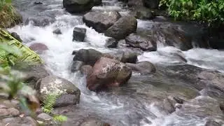 Nature Running Water River Stream Natural Sound for Sleep, Relaxation and Anxiety