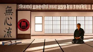 Ju jitsu Mushin ryu, technique de d&eacute;fense sur gyaku tsuki, sumi gaeshi