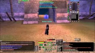 DAoC Hunter - Solo - Uthgard 2013 ( Germany + others)
