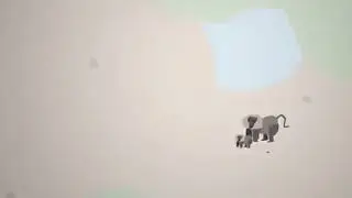 Democracy in animal kingdom