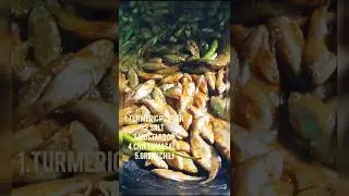 small fish fry recipe #cooking #recipe #2025 #khana #punjabisong #fishfry #fishing #desistylecooking