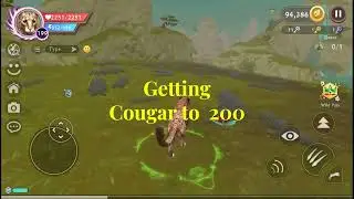 Getting Cougar to 200