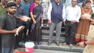 FISH PRODUCTION SHOWING BY STUDENTS TO HONOURABLE VICE CHANCELLOR .S VIJAYBHASKARA RAO IN VSU NELL