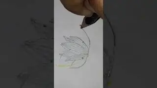 Hit your pencil on the gray flower! #art #sketching #fyp #foryou #standwithpalestine #gray #flower