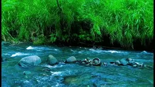 Relaxing River Sound calm water for sleep, stress relief, for yoga, for meditation