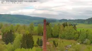 Živ&yacute; pohled na čap&iacute; hn&iacute;zdo na kom&iacute;ně ve Chvalči u Trutnova