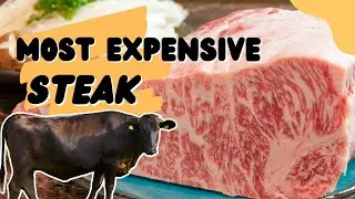Why is Wagyu Steak So Expensive? | Wagyu Beef The Ultimate Luxurious Steak | LUXXO