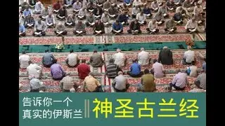 告诉你一个真实的伊斯兰 || 古兰经为什么是神圣不可亵渎的？