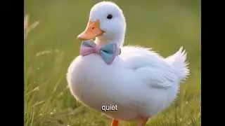 Dapper the Call Duck | World of Cute Things