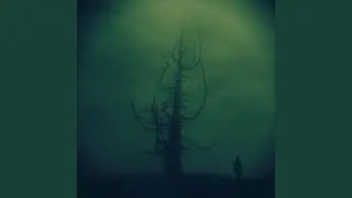 A Meeting of the Shadows
