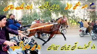 Charsi Malang Horse Try 26/01/2024 || Tanga Race || #shughalmela #horse #race #tangarace