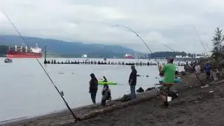 Kalama shore fishing
