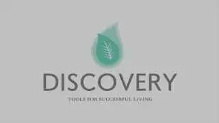 Discovery! Austin  Animated Logo