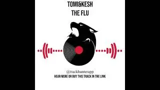 The Flu by Tomi&Kesh