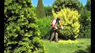 Pellenc Helion Hedge Trimmers
