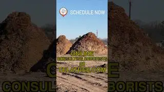 TelaTree Consultant on Clear Cut Home Development Construction Site in North Texas