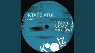Intoarce La Buzau (Max Owl Remix)