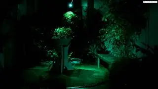 Garden of Membranes Naughton