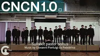 Surrexit pastor bonus / CancaoNova Chorus Next 1.0  1st.Session