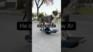 Greyson rides the new Onewheel XR Classic! 😱 #onewheel
