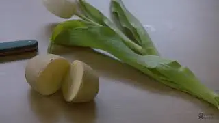 Plantenkennis bij de OntwerpAcademie