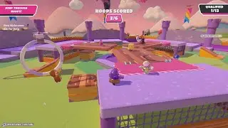 Fall Guys - Solos (XBOX SERIES X)