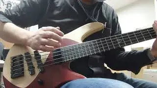Fodera Ryan Martinie 