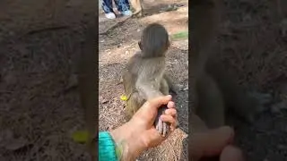 tag someone,🤣😂🤣😂A2Z ALI