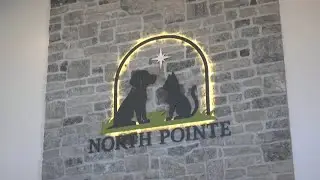 North Pointe vet clinic near North Shoppes holds open house