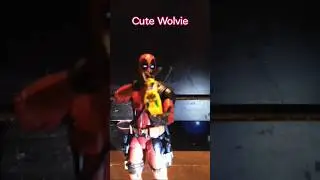 Cute Wolvie... #deadpool #actionfigures #funny #stopmotion #helpmemakethismakesense #spidermanaction