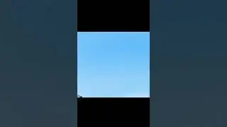 flying bird animated in flipaclip #shorts