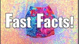 Chelory Ai2 Shell Diaper Review - Fast Facts
