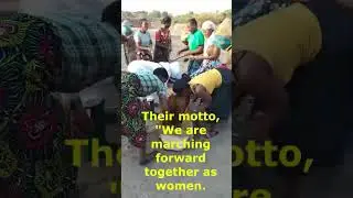 Bees, Hope, women rising in Malawi