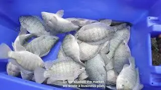 ASA Ethiopia - the first commercial and sustainable fish farm in Ethiopia