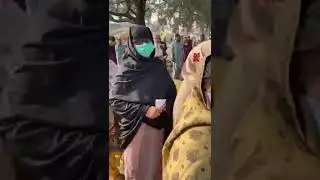 NA 75 Daska Sher 🐅🐅🐅