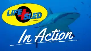 Lifesled in Action-  Patrolling Sharky Waters