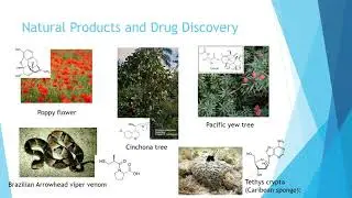 Introduction to Drug discovery