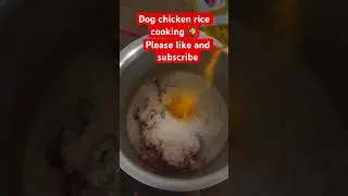 Dog chicken rice cooking 🥘 #dog #doglife #doglove #dogshorts #animal