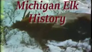 Michigan Elk History