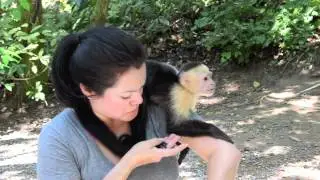 Monkey Business Roatan Honduras