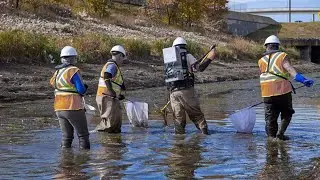Trout Unlimited Canada - Conservation, Restoration, Protection