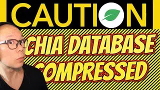 Chia 1.3 Update Database Compress 45% Reduction