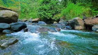 Woodland Relaxation &ndash; Running Creek & Soft Bird Calls for Mindfulness