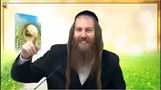 [4] There are No Accidents! | Rabbi Yonatan Gal&rsquo;ed  // The UNIVERSAL Garden of Emuna