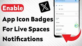 How To Enable App Icon Badges For Live Spaces Notifications On X App (Updated)