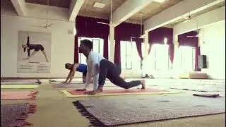 #yogicexercise